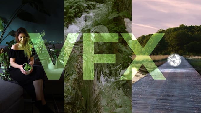 add vfx to your videos