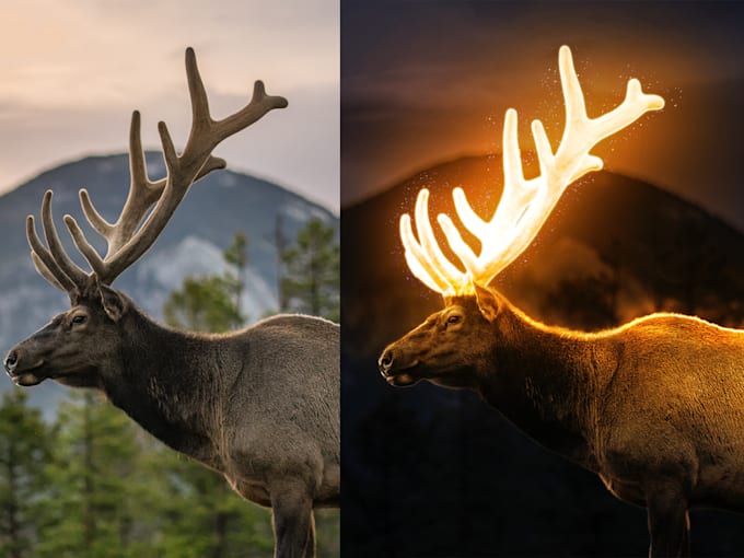 do bulk photo editing, vector design and graphics design