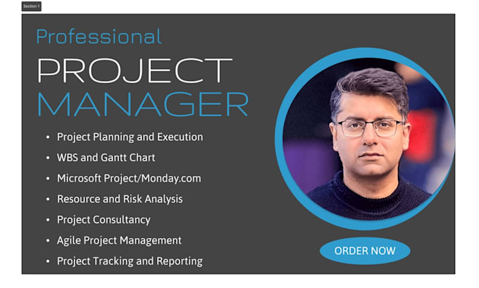 manage end to end project planning, execution, and delivery