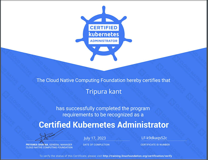 help you with kubernetes, docker and devops work