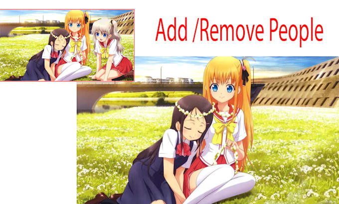 do add people , or remove people, object remove