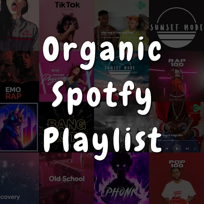 Pitch your music to a targeted playlist by Deepmusicco Fiverr