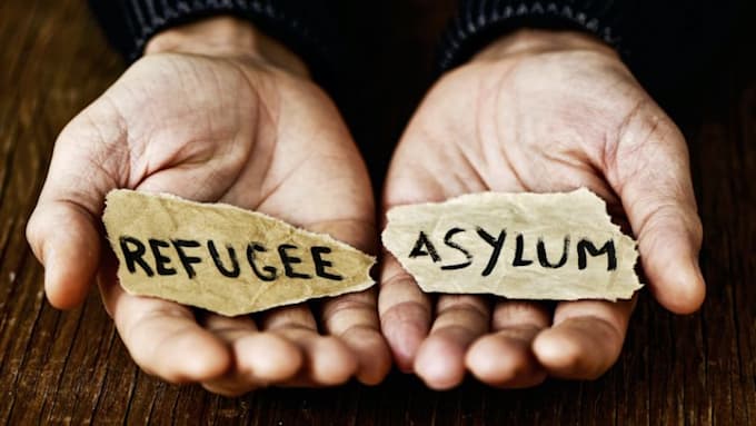 write asylum reports, vawa, waivers, and u visa reports