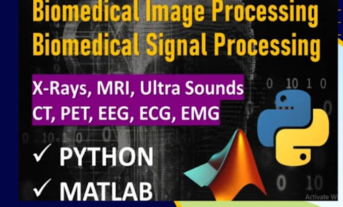 Do biomedical signal and image processing any task by Expert_hunaina ...