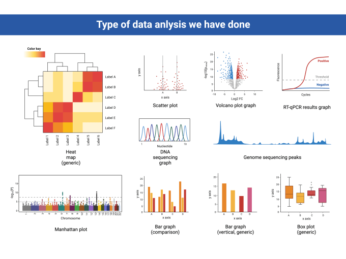 Do statistical analysis using graphpad prism and excel by Kamal_shami Fiverr
