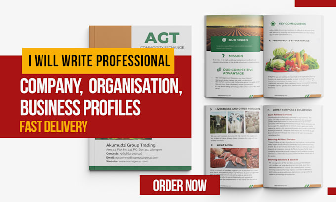 write and design company profile, business profile or brochures