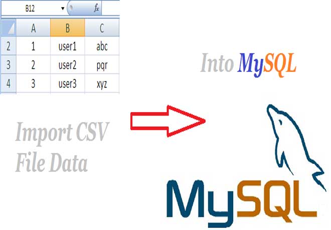 import csv data into mysql database
