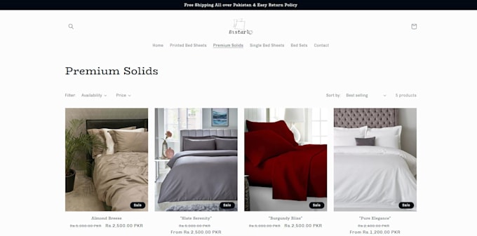 build a professional shopify store that converts