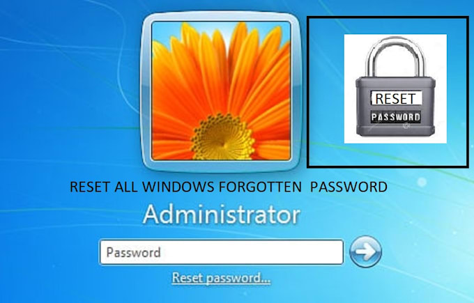 remove windows forgotten password