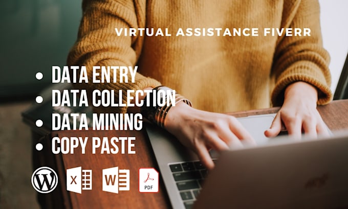data entry, excel, web research and ecommerce data entry