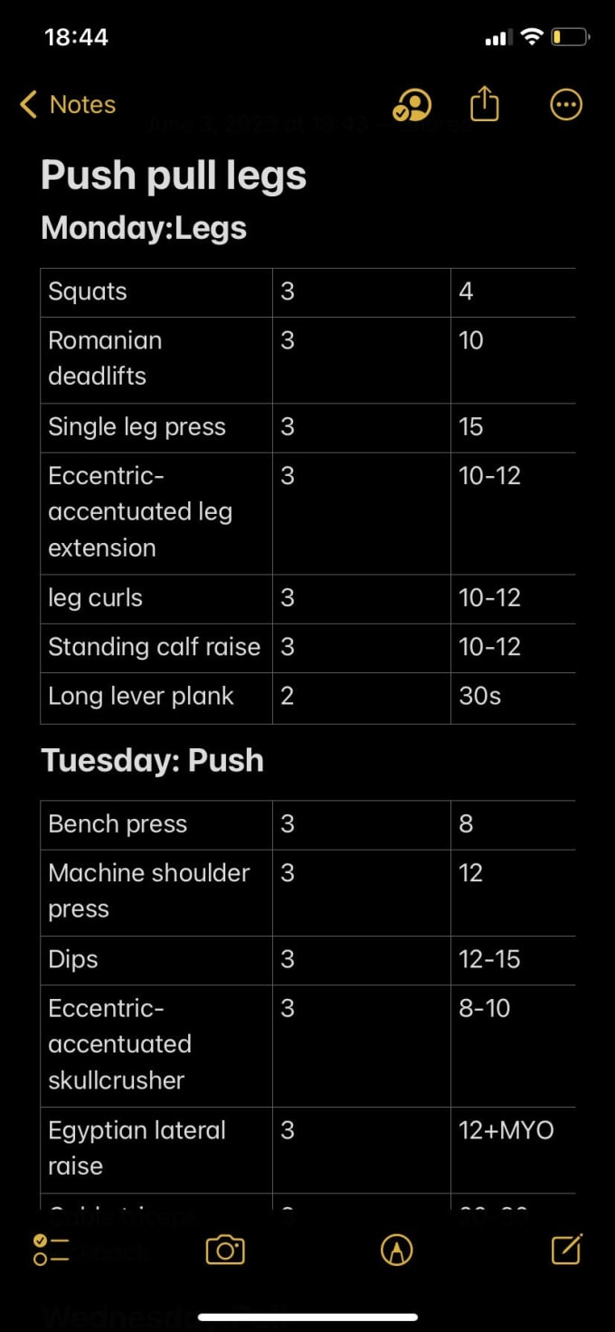 make-a-personalized-workout-plan-for-you-by-jordanrienzo1-fiverr