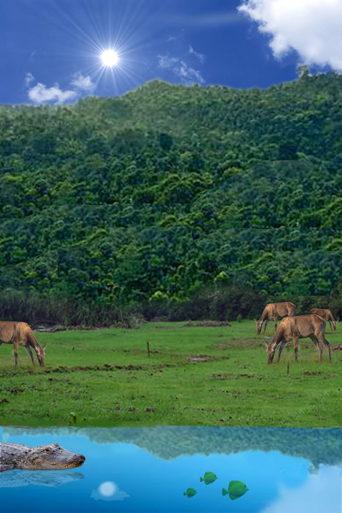 do jungle theme photo manipulation within 24 hours