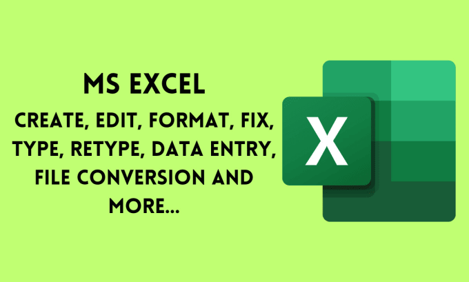Format, fix, type, retype, data entry, file conversion of ms excel ...