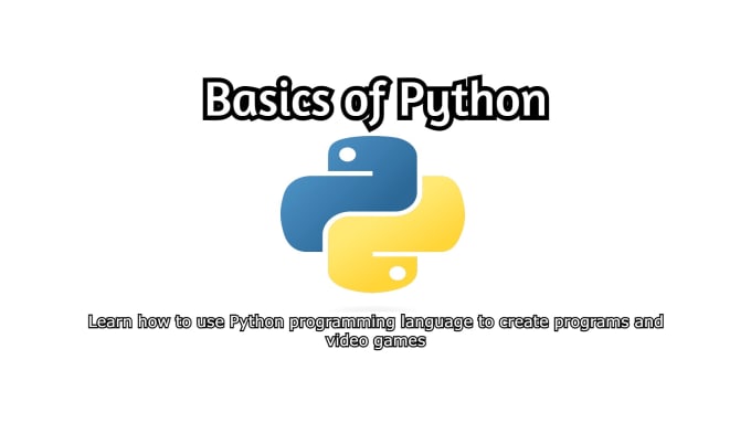 Teach you the basics of python by Saaramrashidi | Fiverr