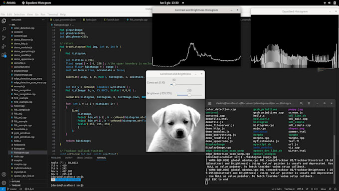 Happy to code apps in c c plus plus c sharp or java for you by ...