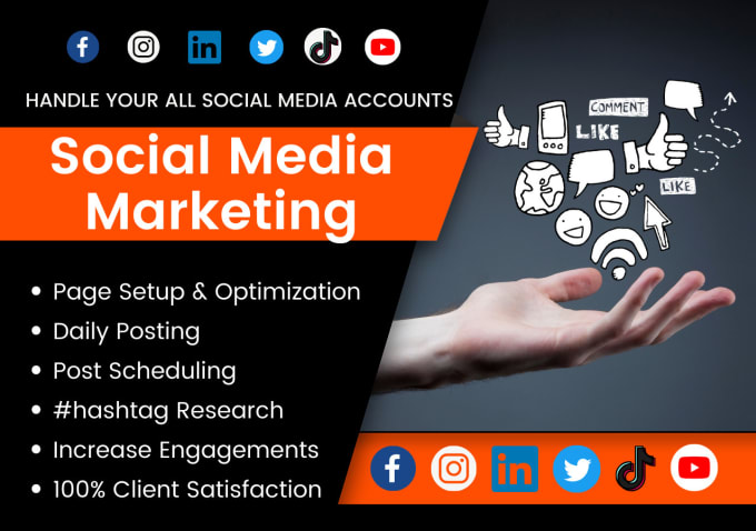 Be your social media marketing manager and ads expert by ...