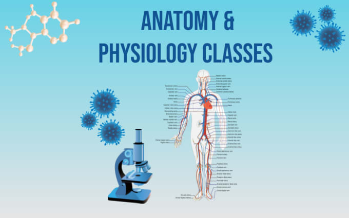 Teach anatomy and physiology for medical students by Ayash_rafail Biology Diagrams