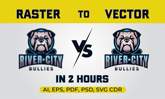 edit, redesign, redo, create your logo in vector format