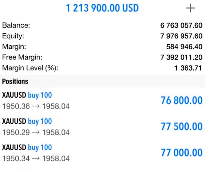 dd forex