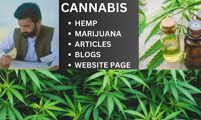 write cbd, hemp, cannabis, marijuana, thc content in 12 hours