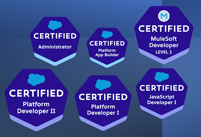 be your salesforce developer, admin or consultant