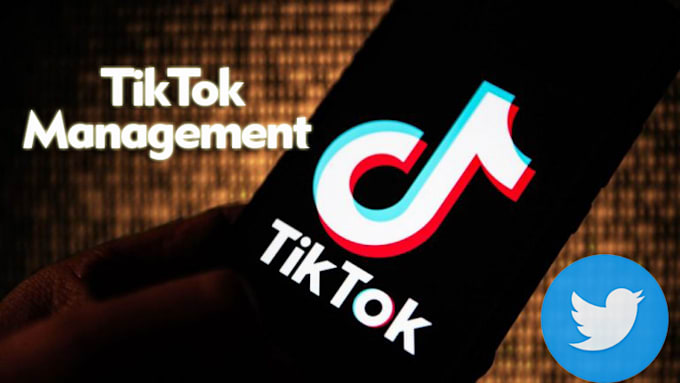 be your twitter and tiktok manager