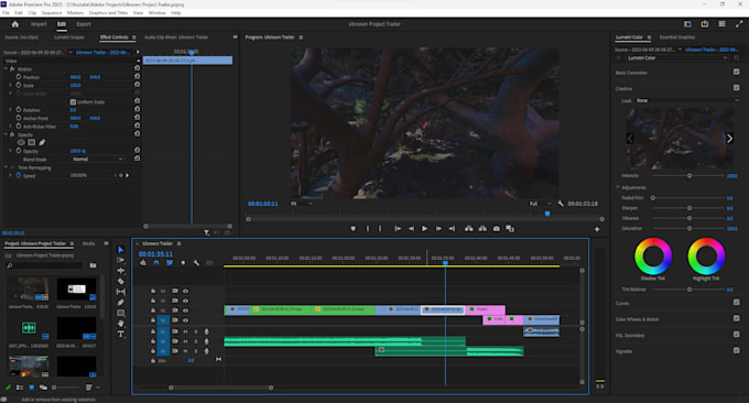 create your dream video