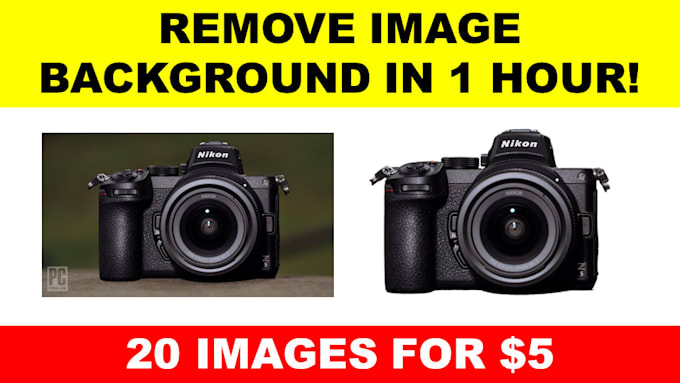 Photography Nikon Z6 Zap Nikon Z6 Vs Z7 Size Remove The Background