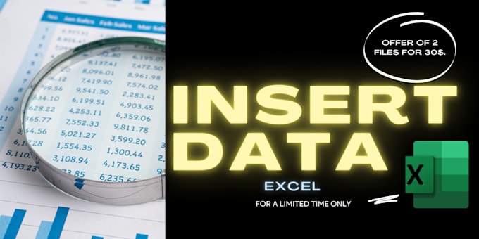 Enter data in excel by Gerlisbethgarce | Fiverr