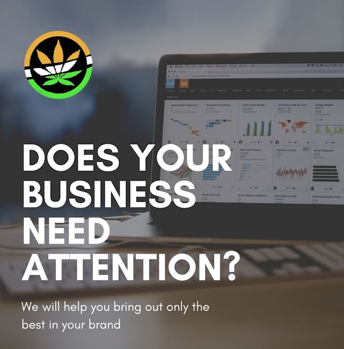 do cannabis hemp off page seo for e com with web sources for zaza