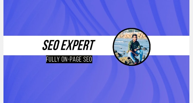professional onpage SEO optimization for google
