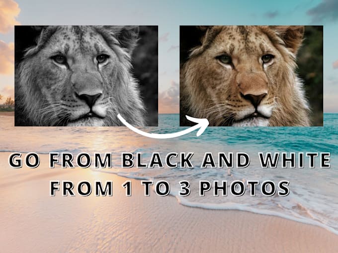 Convert black and white photos to color by Zafir10 Fiverr