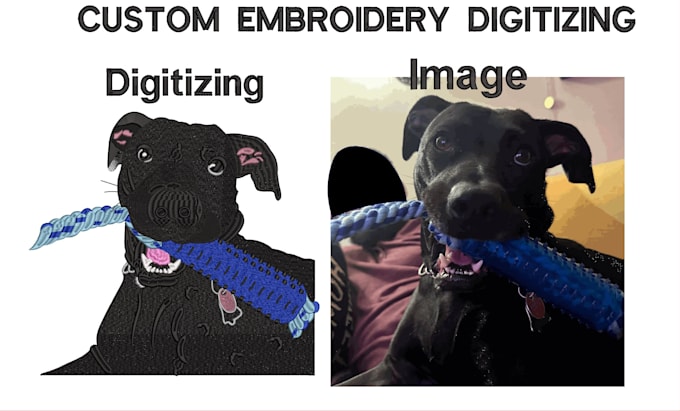 digitize image for embroidery, logo and patches in dst files emb design few hour