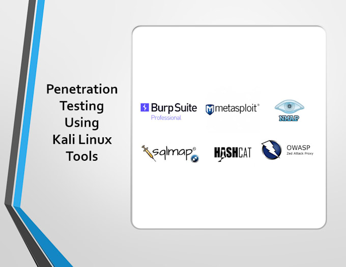 Perform thorough pentesting using kali linux tools by Haiderehsan437 ...