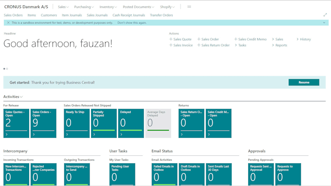 do dynamics business central and nav customization, table, pages, reports, apis