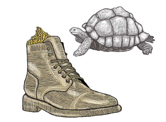 do custom illustrations, free hand drawing, services