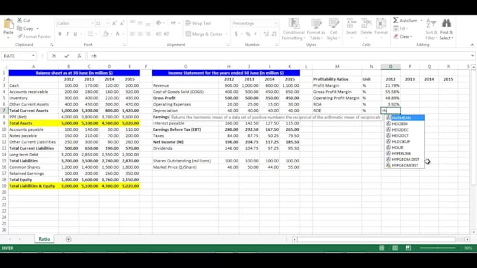 financial analysis in excel like ratio