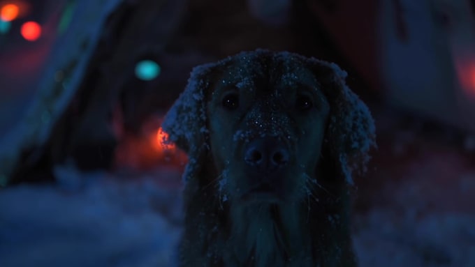 customize funny dog wait for santa greeting video