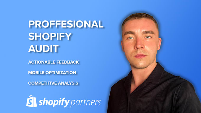 do a professional website audit