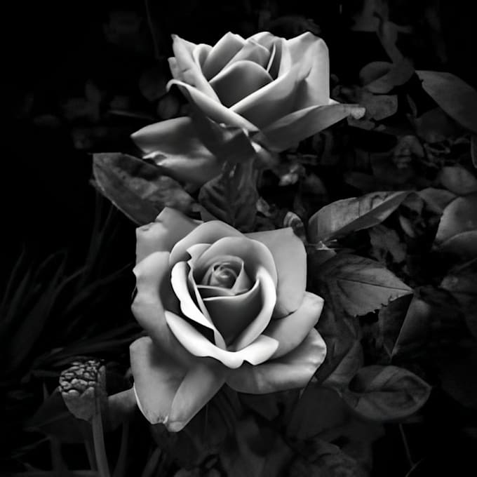 My Image 32