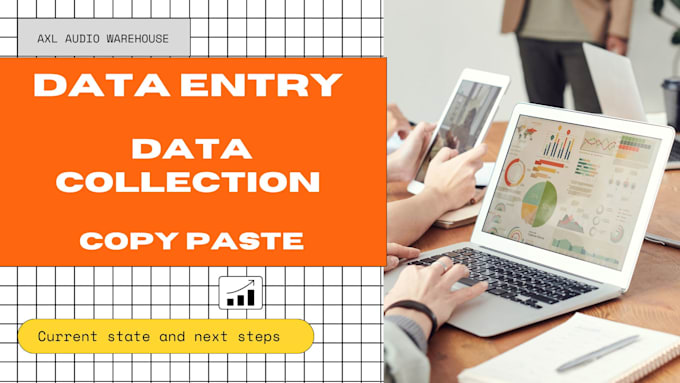 do custom data entry, data collection and copy paste for you