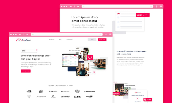 design your professional wordpress website