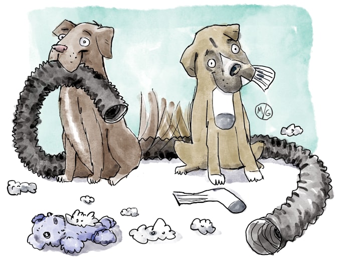 illustrate your pet digitally