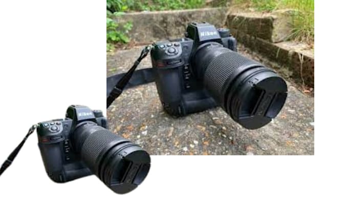 remove image background and crop a circle in image for free