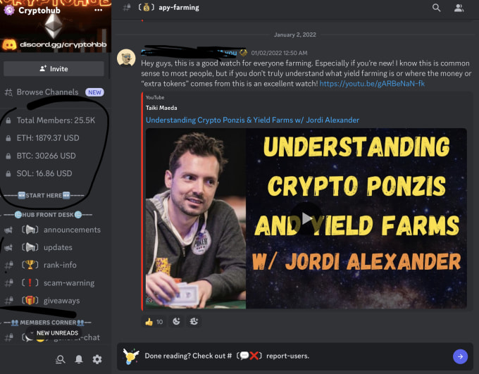 Become your discord server manager by Vig4youtube Fiverr