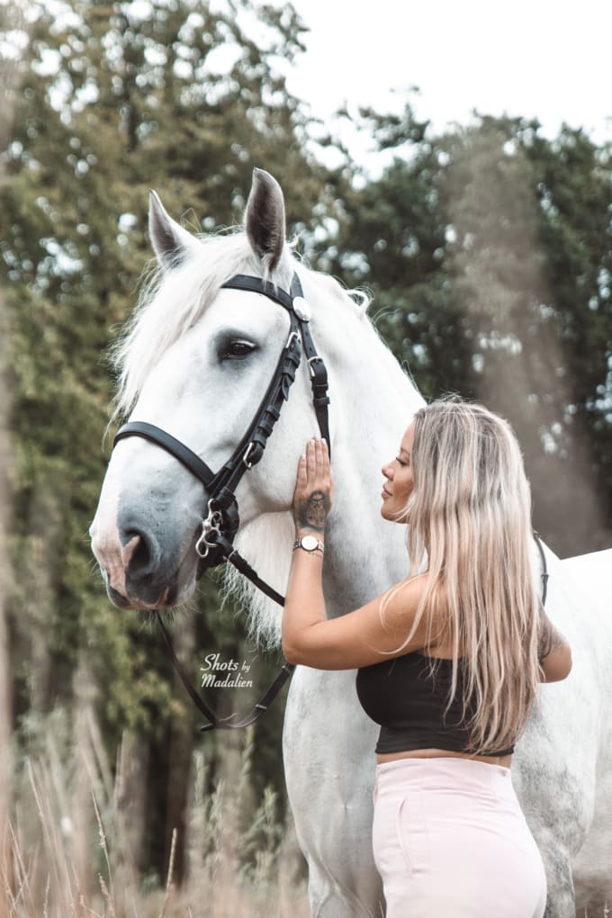 take professional product photos with my horses or dogs