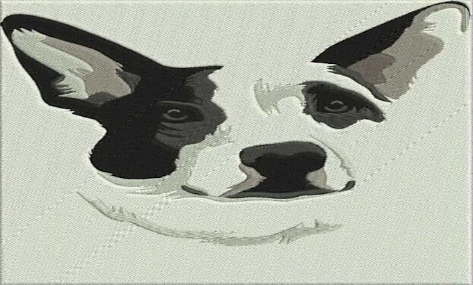 embroidery digitizing master dst, pes, jef, emb  rated service
