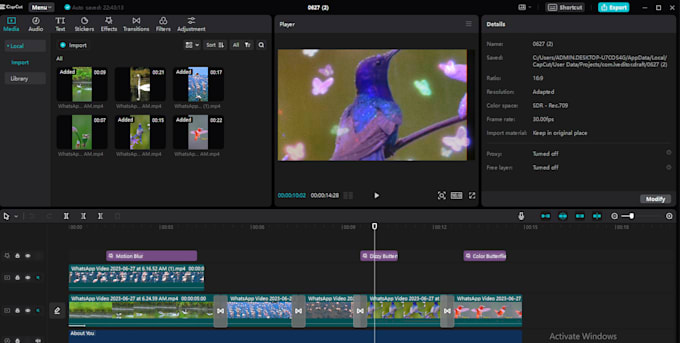 do capcut video editing for you professionally in 24 hours