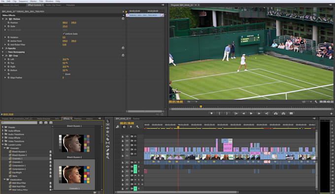 edit your video and turn it into a professional video