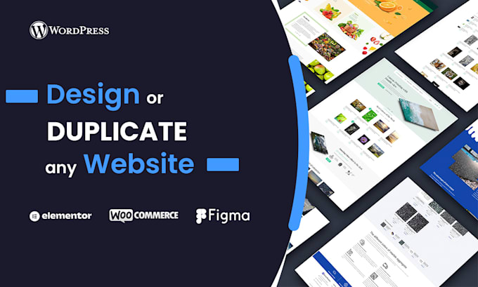 design, duplicate or build a wordpress website